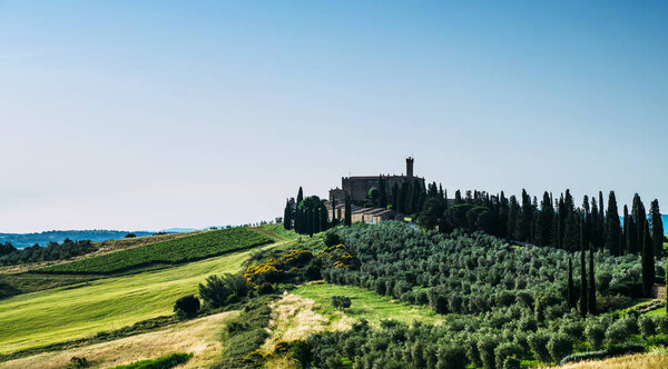 Tuscany rural sunset landscape. Countryside farm, cypresses trees, green field, sun light and cloud. Italy, Europe.