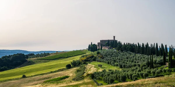 Toscana Paisaje Atardecer Rural Finca Rural Cipreses Campo Verde Luz — Foto de Stock