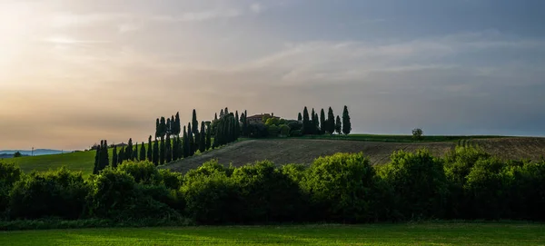Toscana Peisaj Rural Dealuri Rulante Fermă Rurală Chiparoşi Câmp Verde — Fotografie, imagine de stoc