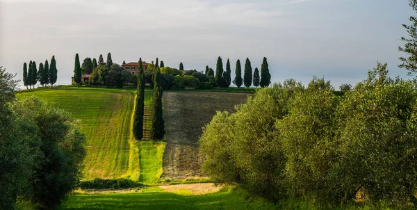 Vedere Maiestuoasă Peisajului Natural Tipic Toscanei Dealuri Frumoase Câmpuri Drumuri — Fotografie, imagine de stoc