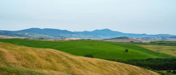Krásný Výhled Toskánsku Itálie Venkovská Krajina Venkovské Kopce Louky Zelená — Stock fotografie