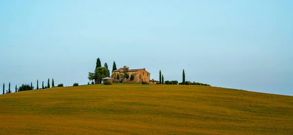 Traditionelle Landschaft Und Landschaften Der Wunderschönen Toskana Felder Goldenen Farben — Stockfoto