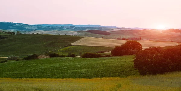 Toscana Paesaggio Rurale Colline Ondulate Fattoria Campagna Cipressi Campo Verde — Foto Stock