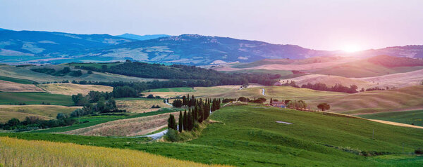 Tuscany, rural landscape. Rolling hills, countryside farm, cypresses trees, green field on warm sunset. Italy, Europe.