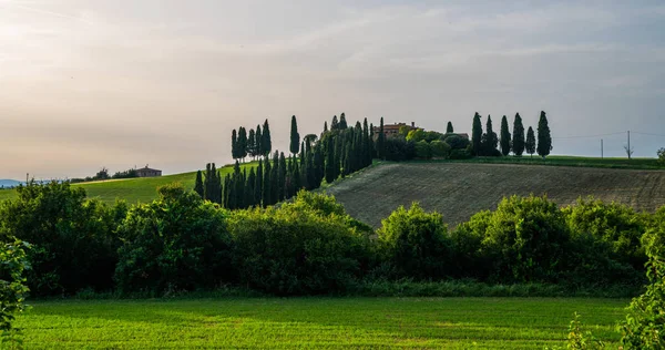 Toscana Paisagem Rural Colinas Rolantes Fazenda Rural Ciprestes Árvores Campo — Fotografia de Stock