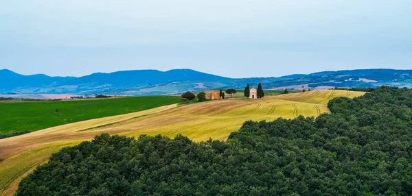 Paisajes Paisajes Tradicionales Hermosa Toscana Campos Colores Dorados Cipreses Vacaciones —  Fotos de Stock