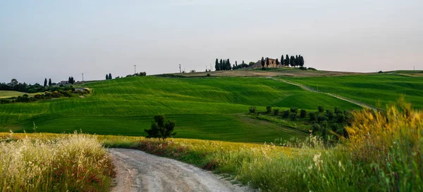 Величественный Вид Типичный Сельский Ландшафт Тосканы Красивые Холмы Поля Сельская — стоковое фото