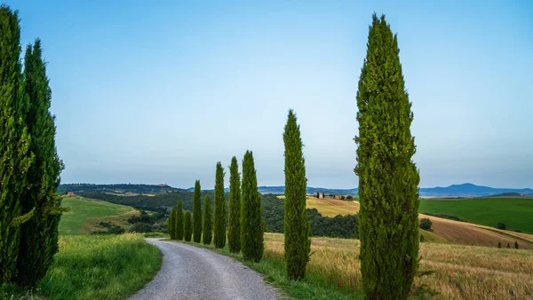 Vue Majestueuse Sur Campagne Toscane Typique Paysage Naturel Belles Collines — Photo