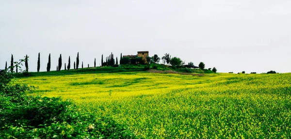 Bella Vista Toscana Italia Paesaggio Rurale Colline Prati Campagna Campi — Foto Stock