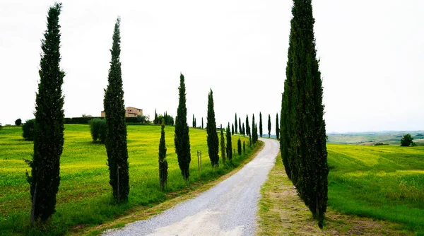 Τοσκάνη Τοπίο Χωριό Μια Ηλιόλουστη Μέρα Ιταλία Όμορφοι Πράσινοι Λόφοι — Φωτογραφία Αρχείου