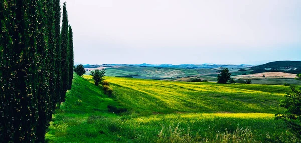 Paesaggio Toscano Giorno Sole Italia Bella Verde Hils Strada Rurale — Foto Stock