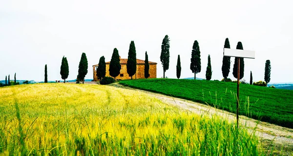 Utsikt Över Höstdag Den Italienska Landsbygden Unikt Toscana Landskap Höst — Stockfoto
