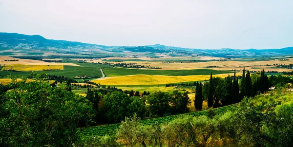 Toscane Landelijk Herfstlandschap Platteland Boerderij Cipressen Bomen Groen Goud Veld — Stockfoto