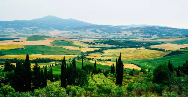 Toscane Landelijk Herfstlandschap Platteland Boerderij Cipressen Bomen Groen Goud Veld — Stockfoto