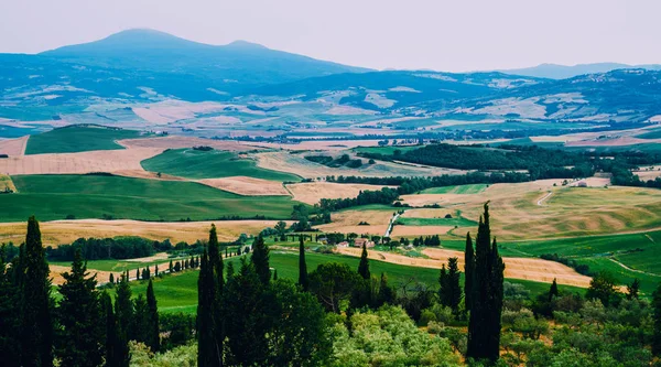 Toscana Paisaje Rural Otoñal Granja Rural Cipreses Campo Verde Dorado —  Fotos de Stock