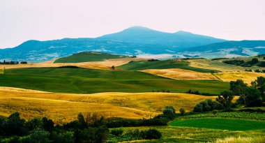 Toskana, kırsal sonbahar manzarası. Köy çiftliği, selvi ağaçları, yeşil ve altın tarlaları. İtalya, Avrupa.
