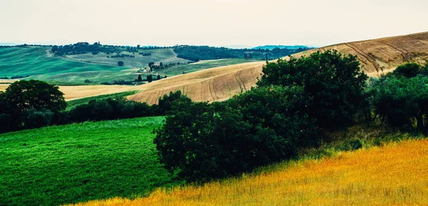 Landschapspanorama Vanuit Toscane Panoramisch Uitzicht Een Lentedag Het Italiaanse Landelijke — Stockfoto
