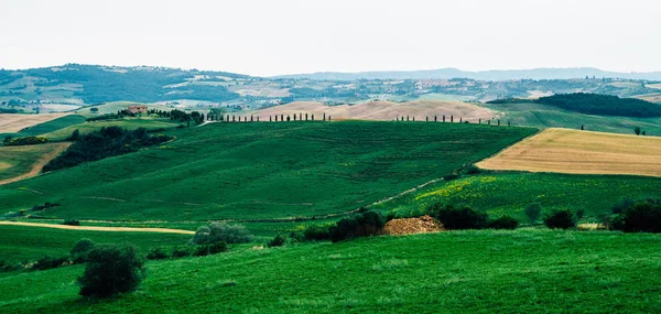 Panorama Paisagístico Toscana Vista Panorâmica Dia Primavera Paisagem Rural Italiana — Fotografia de Stock