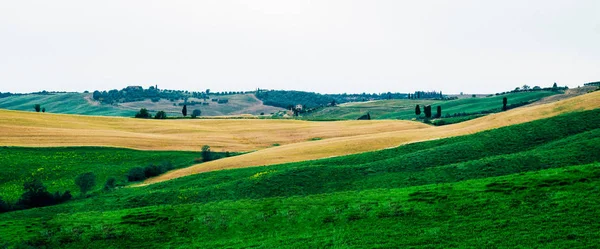 Vista Día Otoño Paisaje Rural Italiano Paisaje Único Otoño Colinas —  Fotos de Stock