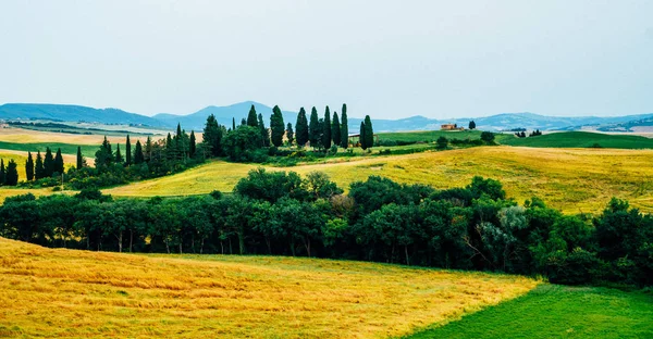 Toskana Ländliche Herbstlandschaft Bauernhof Zypressen Grüne Und Goldene Feld Italien — Stockfoto