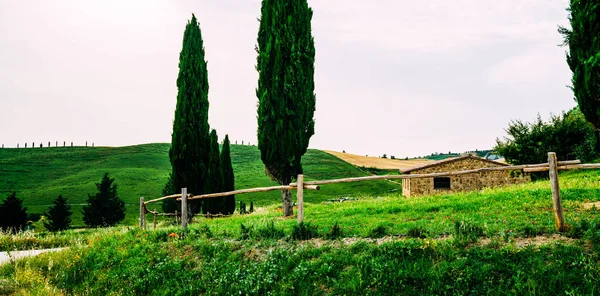 Vista Dia Outono Paisagem Rural Italiana Paisagem Toscana Única Tempo — Fotografia de Stock