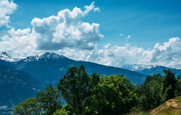 山脈だスイスの山の中で高山草原の美しい景色 牧草地 斜面の牧草地 雪に覆われた山々 — ストック写真