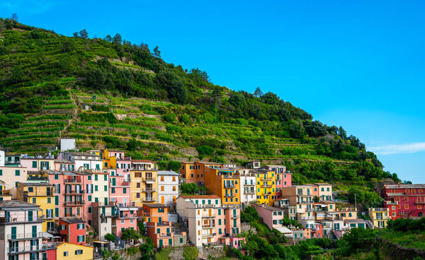 Manarola, Italy. Landmark village in Cinque Terre national park in Italy, Liguria. UNESCO world heritage site. Manarola is famous and popular travel destination.