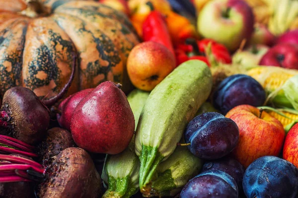 Fall harvest cornucopia. Happy Thanksgiving Day background, wooden table with autumn fruits and vegetables. Harvest festival. Selective focus.