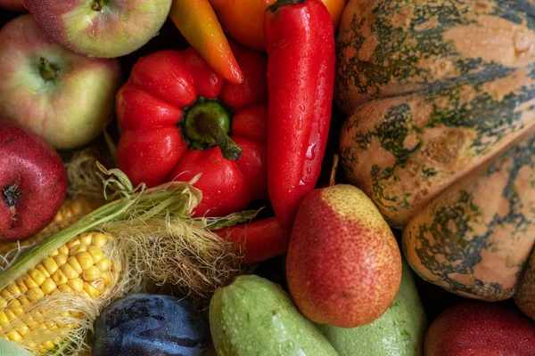 Fall harvest cornucopia. Happy Thanksgiving Day background, wooden table with autumn fruits and vegetables. Harvest festival. Selective focus.