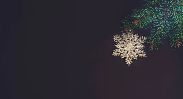 テキストのコピースペースを持つクリスマス休暇の背景 美しいクリスマス飾りの松の枝 — ストック写真