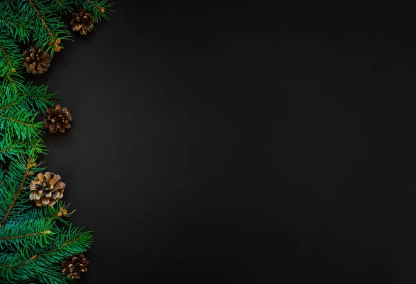 Ramură Copac Con Pin Fundal Întunecat Folosit Pentru Decorarea Crăciunului — Fotografie, imagine de stoc