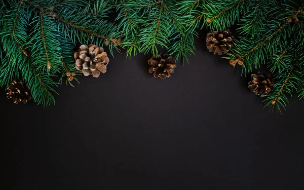 クリスマスの装飾のために使用される暗い背景に木の枝と松のコーン クリスマス 自然新年のコンセプト — ストック写真