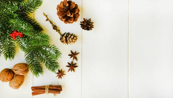 Composição Natal Ramos Abeto Frescos Bagas Vermelhas Cones Pinho Anis — Fotografia de Stock