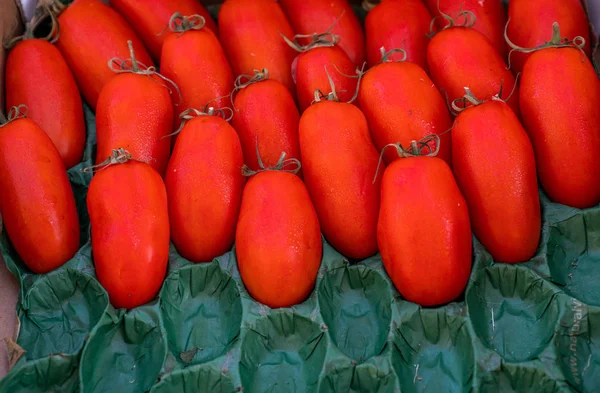 Organiczne Stoisko Warzywne Targu Rolniczym Sprzedaż Świeżych Warzyw Dojrzałe Pomidory — Zdjęcie stockowe