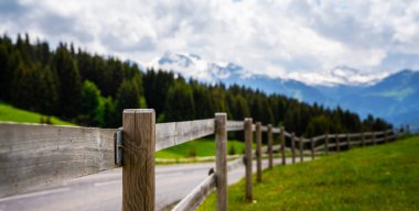 İsviçre Alplerinde eski çitler ve kırsal yol. Yaz yeşili kırsal tarım arazisi.