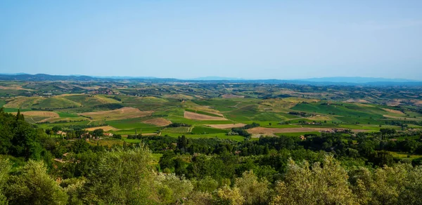 Paisajes Paisajes Tradicionales Hermosa Toscana Campos Viñedos Vacaciones Concepto Viaje —  Fotos de Stock