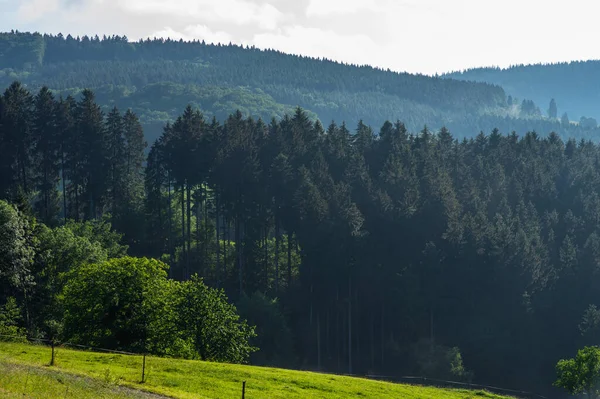 Malowniczy Krajobraz Górski Widok Czarny Las Niemcy Pokryte Mgłą Kolorowe — Zdjęcie stockowe