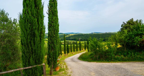 Paisaje Del Pueblo Toscana Día Sol Italia Hermosas Colinas Verdes — Foto de Stock