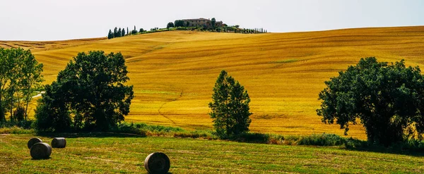 Traditioneel Landschap Landschappen Van Het Prachtige Toscane Velden Gouden Kleuren — Stockfoto