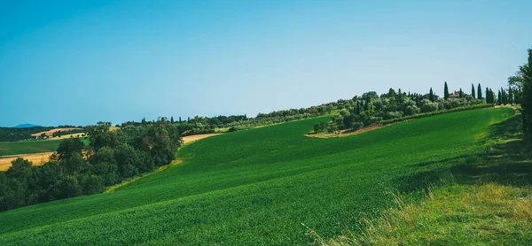 Bella Vista Toscana Italia Paesaggio Rurale Colline Prati Campagna Campi — Foto Stock