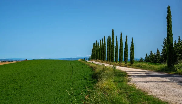 Majestuosa Vista Del Paisaje Natural Típico Toscana Hermosas Colinas Campos — Foto de Stock