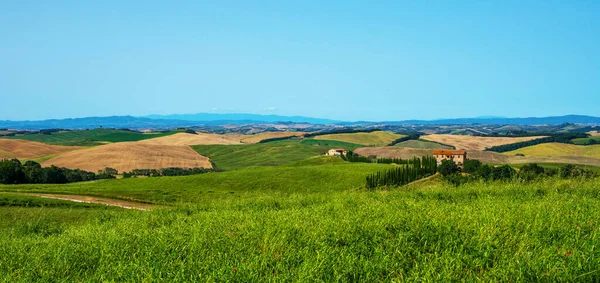 이탈리아 풍경의 여름에는 토스카나의 풍경이 펼쳐진다 파도치는 사이프러스 나무와 — 스톡 사진