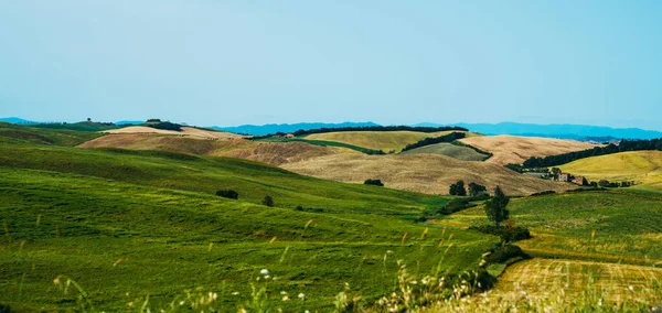 Gyönyörű Kilátás Toszkánában Olaszországban Vidéki Táj Vidéki Dombok Rétek Zöld — Stock Fotó