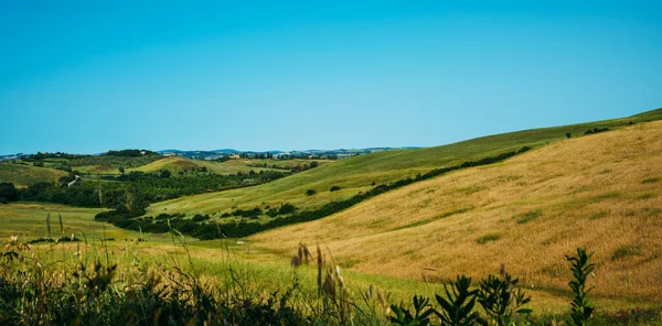 Вид Солнечный День Итальянской Сельской Местности Уникальный Пейзаж Тосканы Летнее — стоковое фото