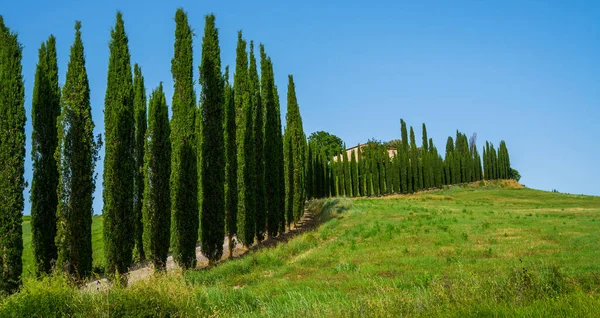 Vista Majestosa Paisagem Típica Natureza Rural Toscana Lindas Colinas Campos — Fotografia de Stock