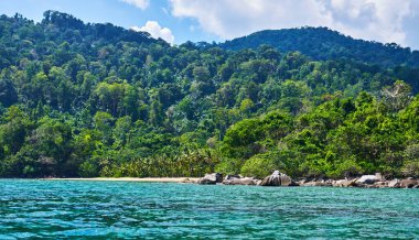 Malezya 'nın güzel doğa manzarası. Yağmur ormanları, dağlar, okyanus. Manzara. Tropikal Tioman adasını keşfediyorum. Seyahat konsepti ve fikri. Güzel turkuaz okyanus.