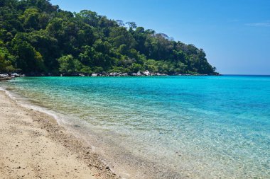 Tropik manzara manzarası. Malezya 'daki Tioman adasının mükemmel beyaz kumları, palmiye ağaçları, turkuaz suyu ve derin mavi gökyüzü. Idyllic manzara. Yaz tatili ve tropikal plaj konsepti.