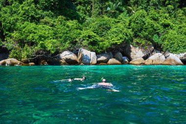 Turkuaz deniz, yağmur ormanı, kayalar, okyanus, şnorkelle yüzme. Mükemmel bir kaçış. Güzel gök mavisi okyanus. Vahşi adanın güzelliği. Kıyı manzaralı okyanus, nefes kesici deniz manzaralı güzel doğa..