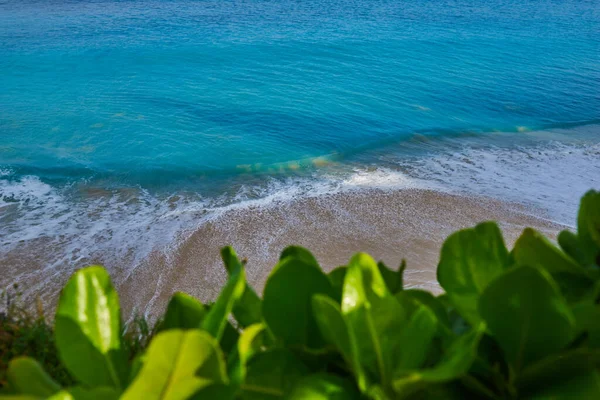 Білий Піщаний Пляж Зелене Листя Бірюзовий Морський Фон Берегова Лінія — стокове фото