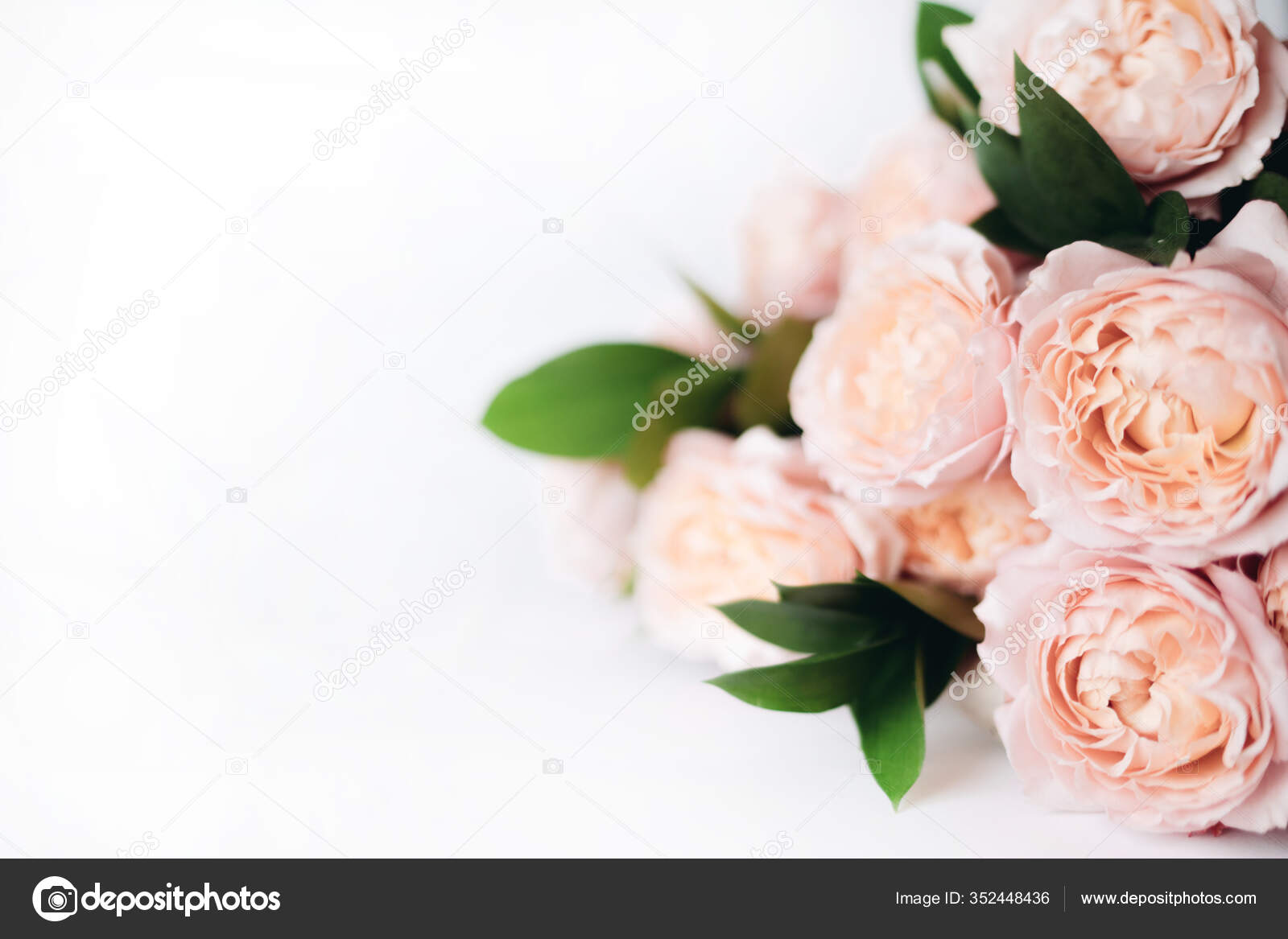 Maravillosas flores fotos de stock, imágenes de Maravillosas flores sin royalties | Depositphotos Maravillosas flores fotos de stock, imágenes de Maravillosas flores sin royalties | Depositphotos
